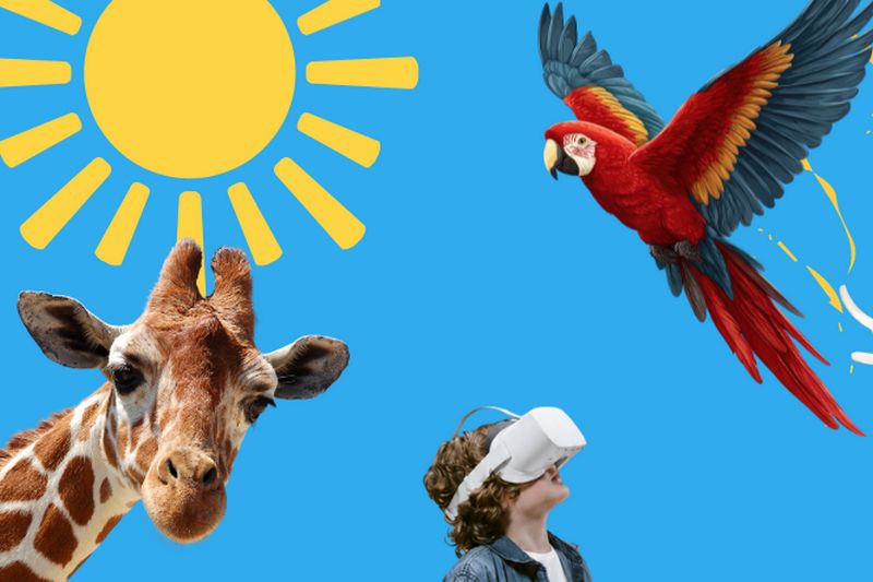 Quoi faire ce weekend en Estrie ?